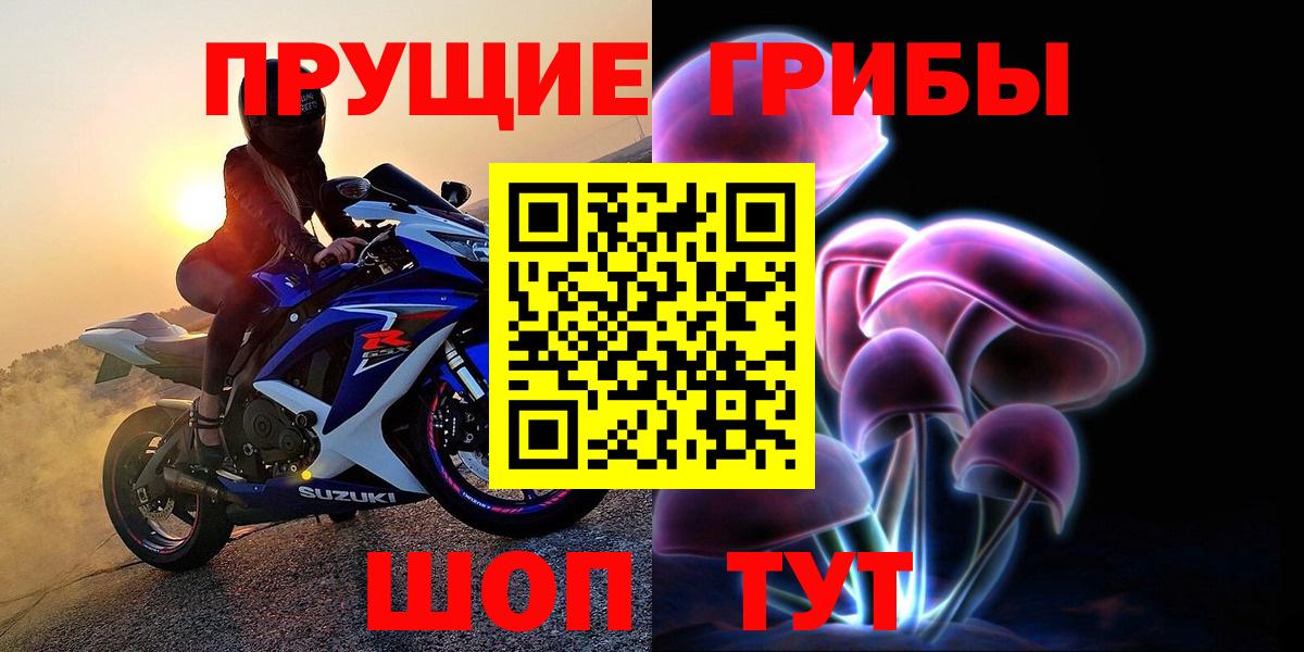 Псилоцибиновые грибы Psilocybe  купить наркотик  Серпухов  Вход с VPN 
